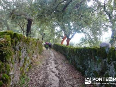 Parque Natural Naturtejo, conocer gente madrid; ruta la pedriza